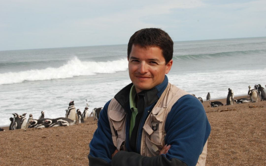 Pablo García Borboroglu: “Los pingüinos son un ejemplo de lucha contra la adversidad”